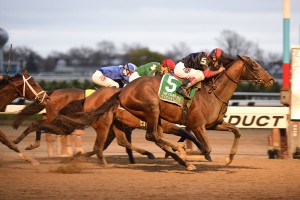 Tonalist, a 4 year old son of Tapit, moves to the front of the 2015 Cigar Mile field. Photo courtesy of Adam Coglianese.