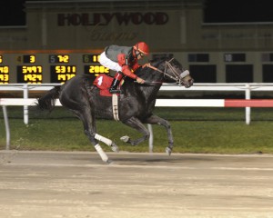 True Cost, bred by Anne Tucker, wins her third straight race December 3rd at Penn National. 