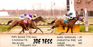 Joe Tess collects his 7th career win and 3rd of 2015 in a sprint race at Laurel December 18th. Photo courtesy of Jim McCue. 