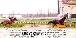 Nancy's Gone Wild, bred by Quest Realty & trained by Susan Cooney, wins a starter optional claiming race at Laurel November 29th by 2 3/4 lengths.