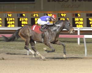 Simmstown, an 8-year-old Limehouse gelding, earns a 1 1/2 length triumph February 20th in a $19,000 claiming race at Penn National. Photo courtesy of B & D Photography. 