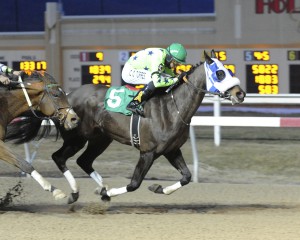 7-year-old Star of Magic scores a gate to wire victory February 20th at Penn National in his 48th lifetime start