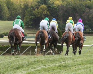 Horses cross the finish at Great Meadow. The 2016 Virginia Gold Cup is slated for May 7th.