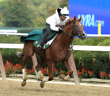 Homespun Hero is shown working out in fall, 2015. Courtesy of Barclay Tagg website. Michael Maker now trains the 3 year old son of Hard Spun.