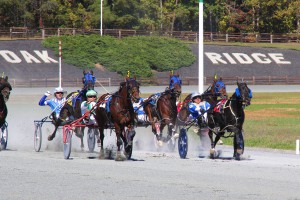 The 2015 harness racing season took place at Oak Ridge in Nelson County. The 2016 meet will be at the Shenandoah County Fairgrounds in Woodstock.