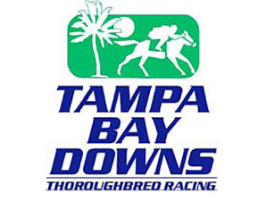 Special Envoy, bred by Mr. & Mrs. Bertram Firestone, continues to thrive at Tampa Bay Downs