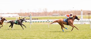 Just Funnin' Ya earned her fifth lifetime win at Laurel April 10th. Photo by Jim McCue.