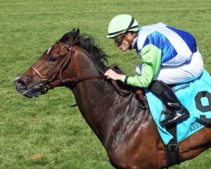 Exaggerated captured the $100,000 Giant's Causeway Stakes at Keeneland on Saturday. Photo courtesy of Coady Photography.