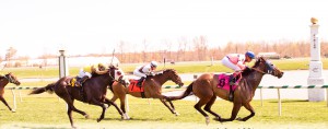 Made Bail captured a $45,000 allowance race at Laurel April 10th. Photo by Jim McCue.