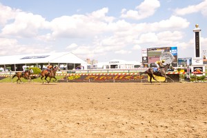 Andrasta won her first lifetime race at Pimlico the Thursday of Preakness week. The 3 year old daughter of Scat Daddy won by 4 3/4 lengths. Photo by Jim McCue.
