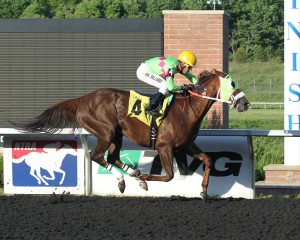 Disco Barbie is aiming for the Grade 2 Presque Isle Masters Stakes this fall. Photos courtesy of Coady Photography.
