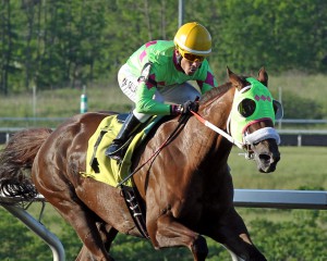 Disco Barbie, owned by Diane Manning, is shown winning  a $33,000 allowance race at  Presque Isle on Memorial Day. Photo from Coady Photography. 