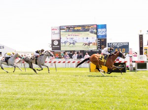 Larry Johnson's Do What I Say scored a two length victory over Lamontagne in a Black Eyed Susan Day allowance race at Pimlico. Photo by Jim McCue.