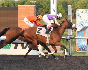 Pauper's Queen connected in a $17,000 claimer at Presque Isle, boosting her bankroll to $157,900. Photo courtesy of Coady Photography.