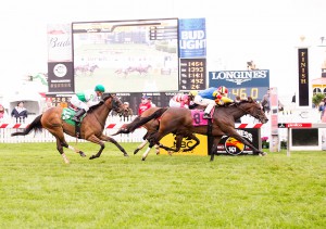 Queen Caroline won the 2nd race at Pimlico on Preakness Day. Bred by the Morgan's Ford Farm, the 3 year old filly was ridden by John Velazquez. Photo by Jim McCue.