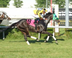Titan Alexander, bred by Mrs. C. Oliver Iselin, won at Mountaineer Park on Memorial Day (Coady Photography)