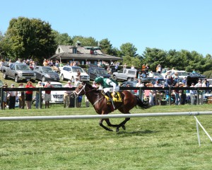 Register for an XPressBet account at the VTA "Wager 'N Win" Tent Saturday at the Gold Cup