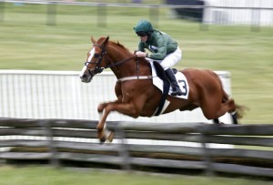 Zanclus is shown mid-race during a three mile maiden timber event at Foxfield April 30th. Photo by Ryan Kelly of the Daily Progress.