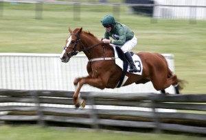 Zanclus is shown mid-race during a three mile maiden timber event at Foxfield April 30th. Photo by Ryan Kelly of the Daily Progress. 