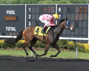 Cherokee Cousin, a Susan trainee, got his first lifetime win May 31st in a maiden claiming sprint at Presque Isle Downs. Photo by Coady Photography. 