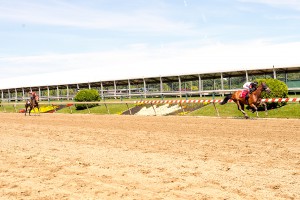 Favorite Niece, bred by Falls Church Racing Stables, earned her first career win in dominating fashion at Pimlico June 10th. Photo by Jim McCue.