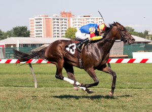 Queen Caroline gave new Virginia thoroughbred owner Amy Moore her first stakes win. Photo by Jim McCue.