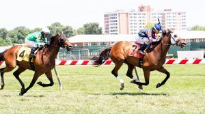 Rose Brier gets the best of Special Envoy again in Saturday's Edward P. Evans Stakes. Photo by Jim McCue.