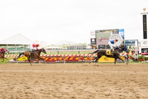 Royal Caviar, bred by Blue Lotus Breeding & Racing, LLC, is 3-for-6 this year now courtesy of this win at Pimlico June 5th. Photo by Jim McCue.