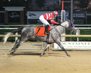 Runaway Liz, bred by Albert Coppola, hit the six digit bankroll mark --- $101,392 --- with her win June 1st at Mountaineer Park. Photo by Coady Photography.,