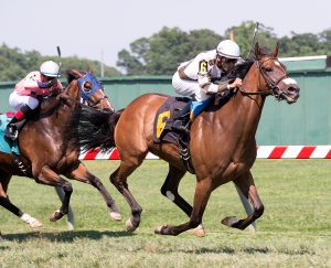 Two Notch Road wins his third straight Virginia-bred stakes race at Pimlico. Photo by Jim McCue.