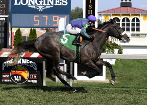 Early Grey won a $30,000 maiden race for colts June 25th at Pimlico. Photo by Jim McCue.