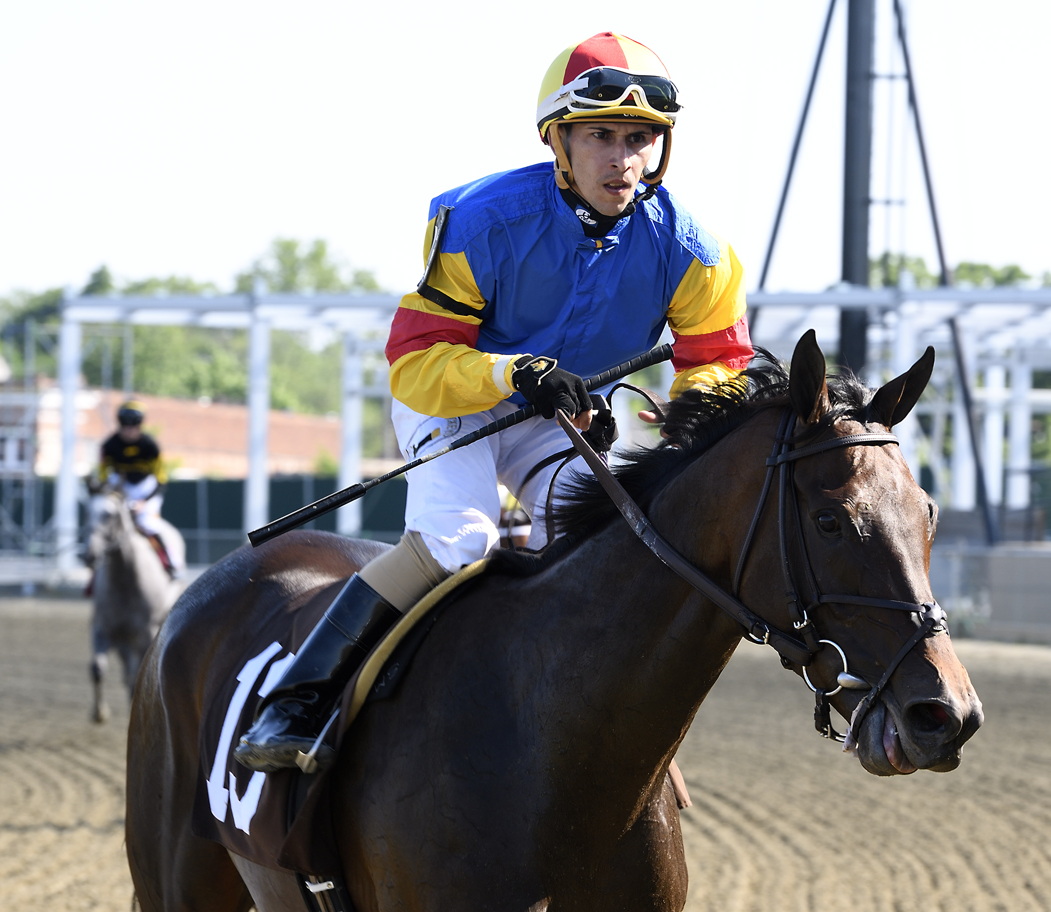 Jockey Alex Cintron was atop Queen Caroline in the June 25th Nellie Mae Cox Stakes. Photo by Jim McCue.