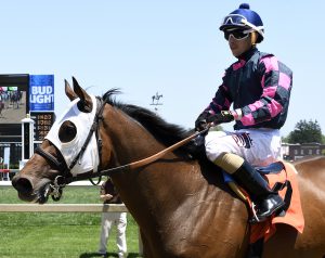 Jockey Alex Citron brings Rose Brier back to the winner's circle Saturday. Photo by Jerry Dzierwinski.