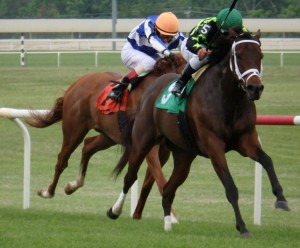 Sweet Victory scored a 1 1/2 length win Saturday in the $200,000 Penn Mile at Penn National. Photo by The Racing Biz. 