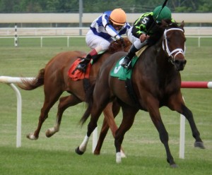 Sweet Victory scored a 1 1/2 length win Saturday in the $200,000 Penn Mile at Penn National. Photo by The Racing Biz.