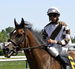 Julian Pimentel directed Two Notch Road to an upset win in the White Oak Stakes. Photo by Jerry Dzierwinski.