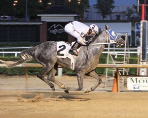 Explore earned his 4th career win July 18th and first owners bonus at Mountaineer. He  was sent off as the betting favorite. Photo by Coady Photography.