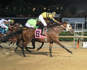 Ghost Is Fine, sent off at 73-1 Monday at Mountaineer, came from behind to win by a half length. Photo by Coady Photography.