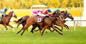 Manakin Road (inside) is best in a wild finish in Laurel's final race on Friday's summer meet opener. Photo by Jim McCue.