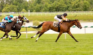 Porte Cochere, out of the Partner's Hero mare, Wonderous Woman, earned a 25% bonus for her owner by winning a maiden claimer at Laurel on Saturday. Photo by Jim McCue.