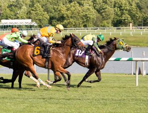 Rebellious Warrior scored a gate to wire win over 11 others July 10th at Laurel. Photo by Jim McCue.