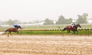 Runninginthevale won for the second time in his last three starts July 4th at Laurel. Photo by Jim McCue.