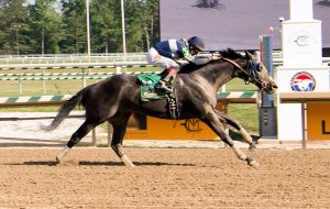 Service for Ten's lifetime bankroll soared over the $400,000 mark thanks to an allowance win July 24th at Laurel. Photo by Jim McCue.