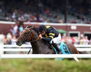 Long On Value won the $100,000 Lucky Coin Stakes at Saratoga July 25. Photo by Coglianese Photography.