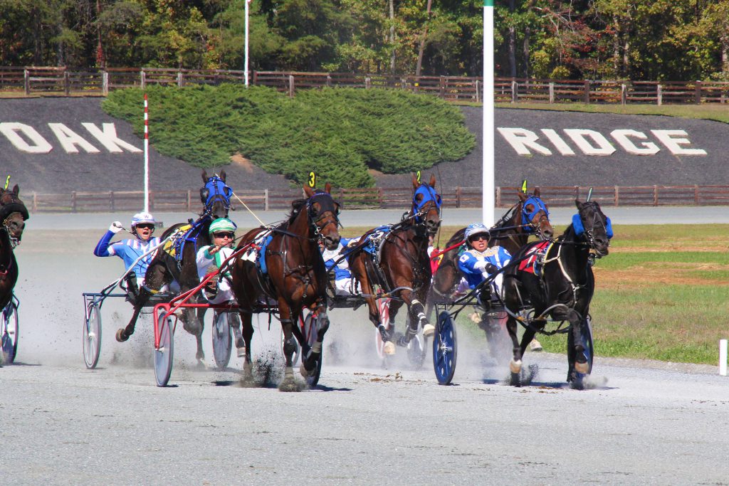 Harness racing took place at the Oak Ridge Estate in Nelson County last year.