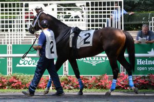 Sticksstatelydude shown in the Belmont paddock area before his race July 15. Photo by Pack Pride Racing. 