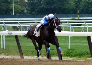 Sticksstatelydude wins a $77,000 allowance race July 15 at Belmont. Photo by Pack Pride Racing.