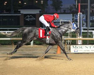 Explore rolled to an 11 1/4 length victory at Mountaineer August 10th and secured his second straight owners bonus for the LVR Stable. Photo courtesy of Coady Photography.