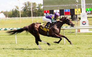 The Mike Trombetta trained Gem got her first lifetime win August 13th at Laurel. Photo by Jim McCue.