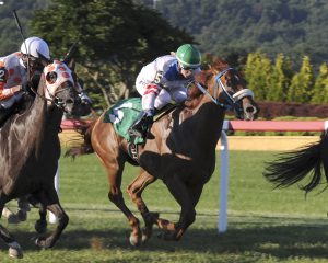 A disqualification of the winner enabled Grace Is Ready to move up to the win position August 19th at Penn National. Photo by  B&D Photography.